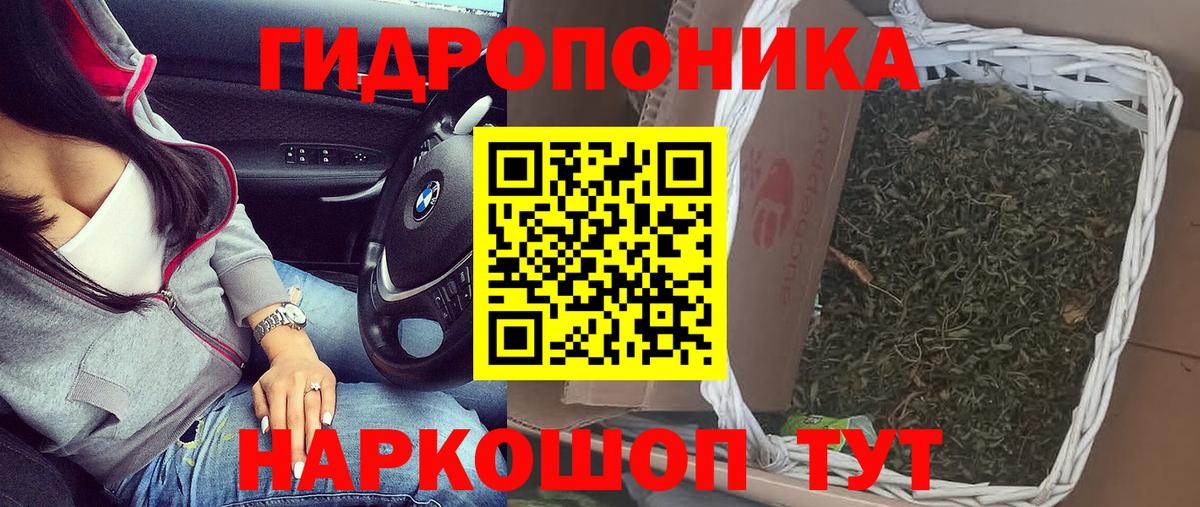 Бошки Шишки ГИДРОПОН  Канабис конопля  МАРИХУАНА тримм  Вход с VPN  Ростов-на-Дону  МАРИХУАНА OG Kush 